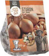 Baltus Uien Sturon 500 gram per stuks