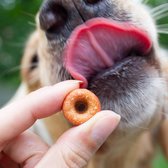 Collory-bakmat-hondenkoekjes-donuts-mini