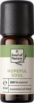 LR Soul of Nature Hopeful Soul Geurmengsel - aromatherapie