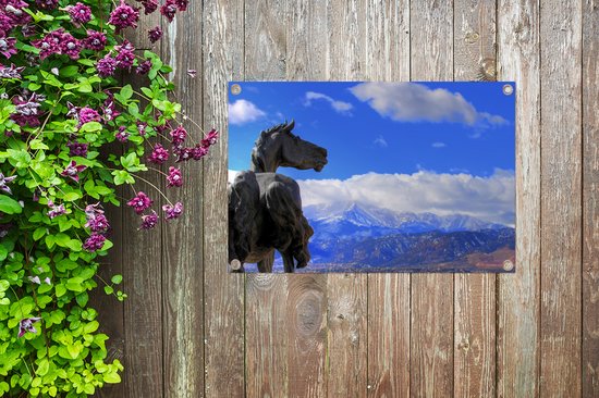 Tuinposter Briargate Mustangs in Colorado - 100x60 cm - Wanddecoratie Buiten - Tuinposter - Tuindoek - Schuttingposter - Tuinschilderij