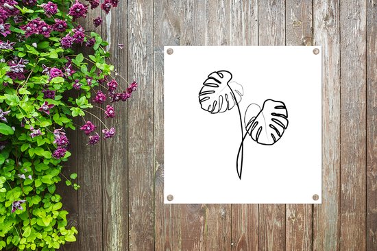 Posters de jardin Plante - Monstera - Line - 50x50 cm - Toile de jardin - Affiche d'extérieur