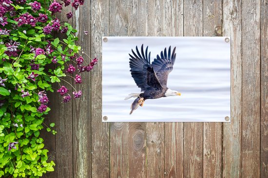 Posters de jardin extérieur Aigle avec poisson au-dessus de l'eau - 90x60 cm - Toile de jardin - Affiche extérieure
