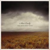 Adrian Crowley - I See Three Birds Flying (LP)