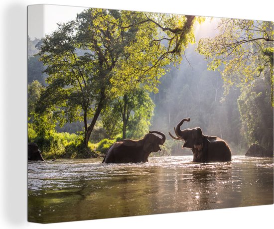 Canvas Schilderij Olifanten in rivier in Thailand - 120x80 cm - Wanddecoratie