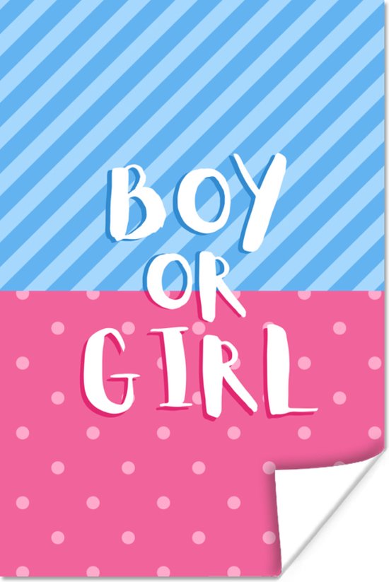 Poster Boy or Girl - Design - Gender reveal - Baby - Zwangerschap - Spreuken - 20x30 cm