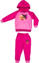 Bing joggingpak roze - Trainingspak Bing - Joggingpak voor kinderen - Bing hoodie - Bing broek - Bing Bunny