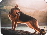 Duitse Herder Muismat Rubber - Hoge kwaliteit foto van een Duitse Herder - Muismat gedrukt op polyester - 25 x 19 cm - Antislip muismat - 5mm dik - Muismat met foto - heerlijk voor