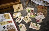 Vintage Labels - Plant & Insect - 50 stuks - Label - Tag - Bulletjournal - Hobbypapier - Scrapbook - Kaarten maken - Journaling - Cadeauversiering