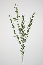 Kunsttak - Parvifolia eucalyptus - topkwaliteit decoratie - 2 stuks - decoratie plant - Groen - 74 cm hoog