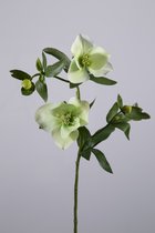 Kunstbloem - Helleborus - kerstroos - topkwaliteit decoratie - 2 stuks - zijden bloem - Groen - 58 cm hoog