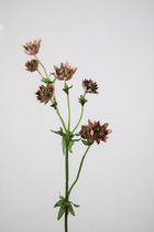 Kunstbloem - Astrantia - sterrenscherm - topkwaliteit decoratie - 2 stuks - zijden bloem - Roze - 58 cm hoog