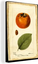 Tableau sur toile Persimmon - Tableau de Deborah Griscom Passmore - 120x180 cm - Décoration murale XXL