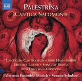 Palestrina Ensemble Munich, Venanz Schubert - Palestrina: Cantica Salomonis (2 CD)