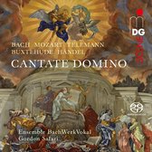 Ensemble Bachwerkvokal & Safari - Cantate Domino (Super Audio CD)