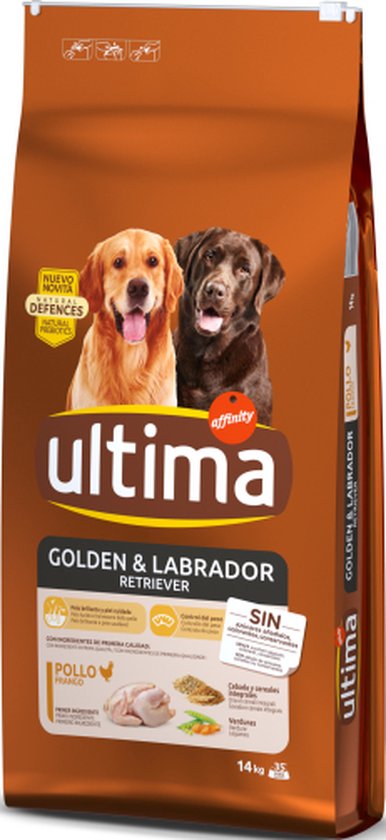 Ultima Golden & Labrador Retriever Kip