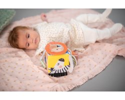 Taf Toys Savannah Activiteitenkubus