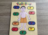 Akyol - Houten kinderpuzzel - Kinderpuzzel menselijk lichaam - Educatief - Lichaam - Vormenpuzzel - Kinderen - Lichaam - 9-delig - Kinderpuzzel 2 jaar - Kinderpuzzel 3 jaar - Kinde