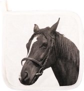 Pannenlap | farm horse | paard |