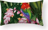 Sierkussen Amazone - Papegaai Long - Sierkussen - 30x50 cm - Sierkussen - Polyester