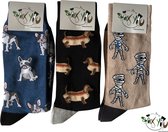 Sockyou box G022 - 3 paar vrolijke bamboe sokken in doos - Maat 41-45