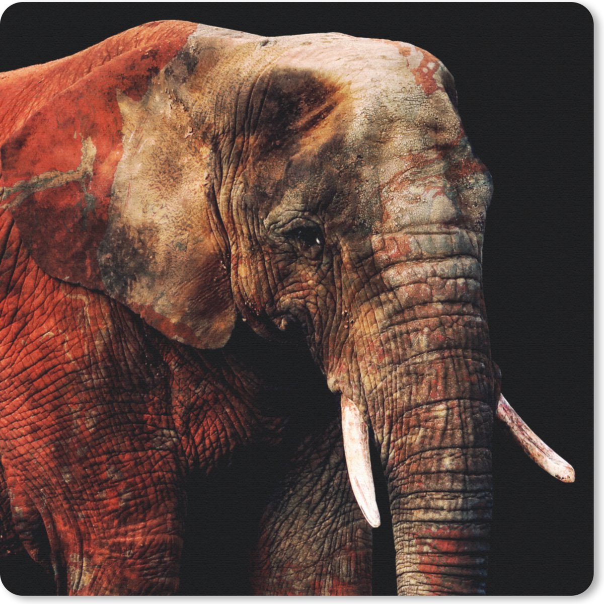 Muismat 30x30 cm - Mousepad Olifant - Rood - Tanden - Muismatten