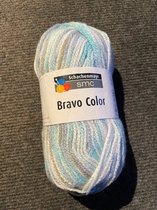 Schachenmayr Bravo Color Nr 00104