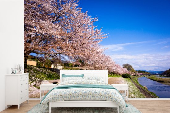 Behang - Fotobehang Bloeiende kersenbloesem bij het Japanse Kyoto met een blauwe hemel - Breedte 420 cm x hoogte 280 cm
