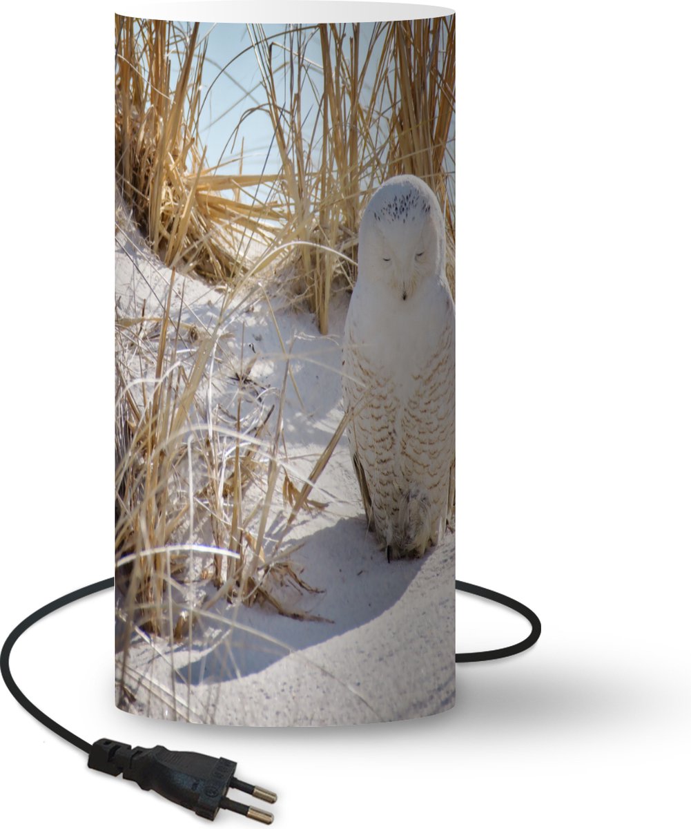 Lamp - Nachtlampje - Tafellamp slaapkamer - Sneeuwuil slaapt op het strand in New York - 33 cm hoog - Ø15.9 cm - Inclusief LED lamp