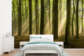 Papier peint photo Rayons de soleil - Le soleil brille sur les nombreux arbres sombres fotobehang vinyle largeur 360 cm x hauteur 240 cm - Impression photo sur papier peint vinyle (disponible en 7 tailles) - chambre / salon / bureau