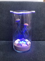 Set van 2 Jelly-Fish luchtplanten met prachtige blauwe glazen bollen/plant/hangplant/decoratie/cadeau/tuinidee/orgineel kado/handgemaakt/zomer/voorjaar/kadotip/moederdag/vaderdag/c