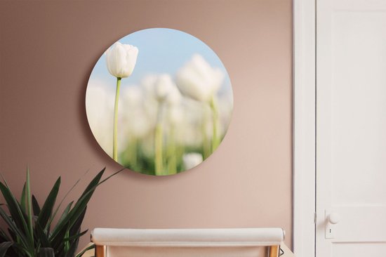 Artaza Dibond Cercle Mural Tulipes Witte - Fleurs - Ø 70 cm - Cercle Mural - Tableau Rond - Pour Intérieur et Extérieur