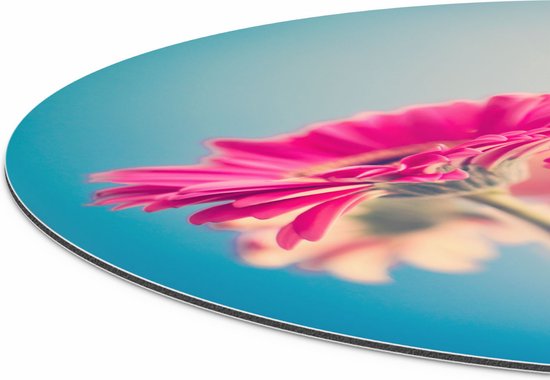 Artaza Dibond Cercle Mural Deux Oeillets Roses - Fleurs - Ø 90 cm - Groot - Cercle Mural - Tableau Rond - Pour Intérieur et Extérieur