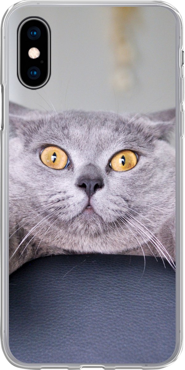 Telefoonhoesje Geschikt voor iPhone X hoesje - Kat - Bang - Stoel - Siliconen Telefoonhoesje Telefoonhoesje