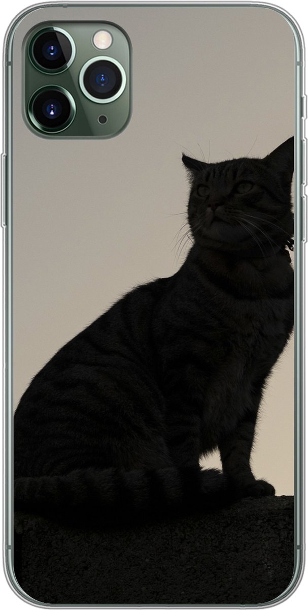 Telefoonhoesje Geschikt voor iPhone 11 Pro Max hoesje - Kat - Donker - Schutting - Siliconen Telefoonhoesje Telefoonhoesje