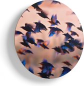 Artaza Houten Muurcirkel - Groep Vliegende Blauwe Spreeuw Vogels - Ø 75 cm - Multiplex Wandcirkel - Rond Schilderij