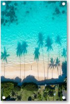 Dronefoto van de weerspiegelingen van de palmbomen in het turquoise water van de zee - Tuinposter 80x120 - Wanddecoratie - Besteposter - Landschap - Natuur