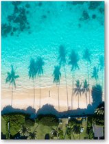 Dronefoto van de weerspiegelingen van de palmbomen in het turquoise water van de zee - 30x40 Poster Staand - Besteposter - Landschap - Natuur
