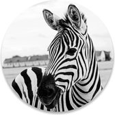 Wandcirkel Zebras | ⌀ 30 cm | Wanddecoratie | Muurcirkel Binnen | Forex | Ronde Schilderijen