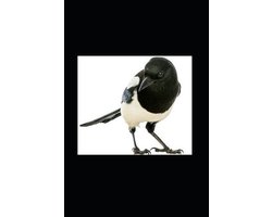 Akoma Ntoso Books about Online Scam-The Black Magpie - Die schwarze Elster