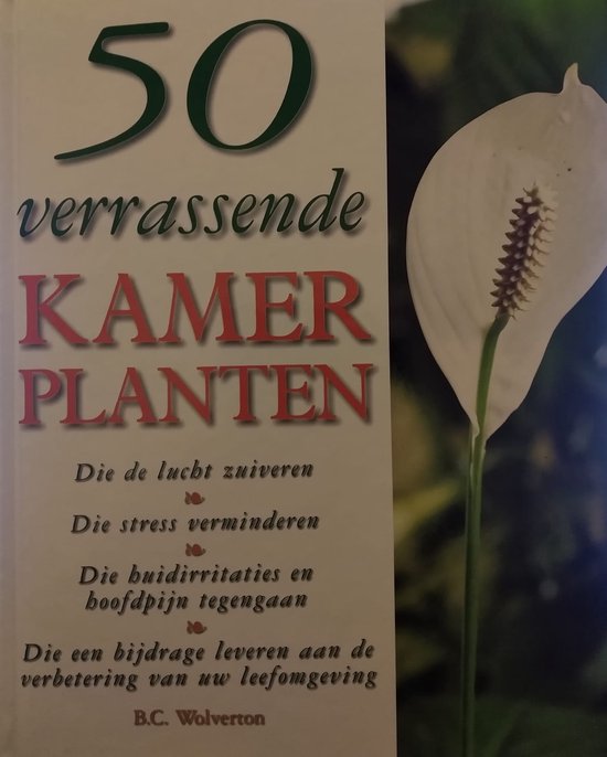 9789041004130 - 50 verrassende kamerplanten