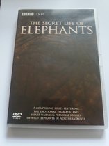 The Secret Life of Elephants BBC