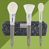 CAIRSKIN Professional Brush Set - 3 Sage Green Brushes Powder Buffer Blending Blush Brushes - Fixing Setting Powder + Glitter Etui