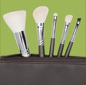 CAIRSKIN Professional Brush Set - 5 Sage Green Shading Basic Brushes + Brown Beauty Etui - Professional Makeup Brushes - Visagie Penselen