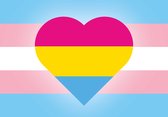 Sticker - Vlagsticker - Trans & Pan - LGBT+ - Regenboog - Pride