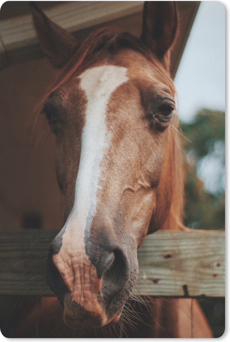 Muismat 18x27 cm - Mousepad Paarden - Paardenstal - hek - Muismatten