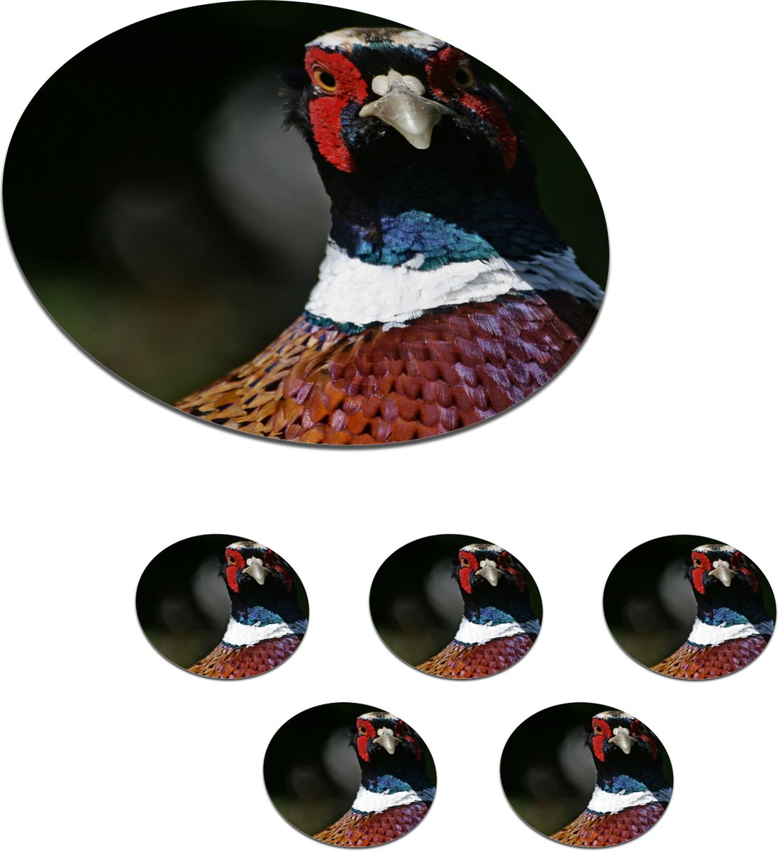 Onderzetters voor glazen - Rond - Fazant - Portret - Dieren - 10x10 cm - Glasonderzetters - 6 stuks