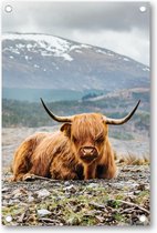 Schotse Hooglander - Tuinposter 60x90 - Wanddecoratie - Besteposter - Dieren - Natuur