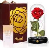 Beauty and The Beast Rose Kit, betoverde rode zijden roos voor altijd bloem LED-licht in glazen koepel houten basis romantische cadeaus voor verjaardag bruiloft verjaardag Moederdag Valentijn