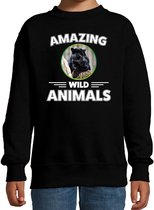 Sweater panter - zwart - kinderen - amazing wild animals - cadeau trui panter / zwarte panters liefhebber 12-13 jaar (152/164)