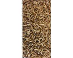 Meelwormen 100 gram